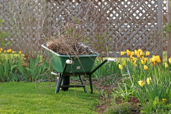 Flower Bed Cleanup Service in Los Angeles