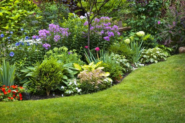 Flower Bed Service in Los Angeles