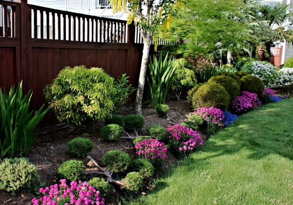 Garden Care Service in Los Angeles