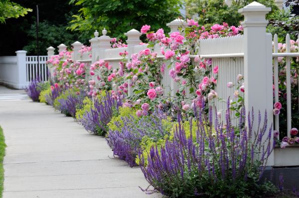 Garden Handyman Service in Los Angeles