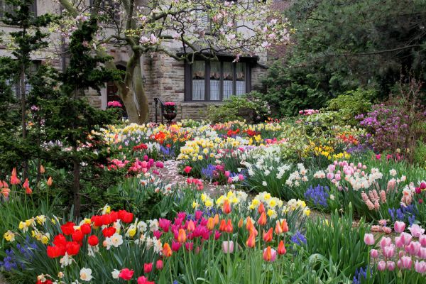 Garden Maintenance Service in Los Angeles