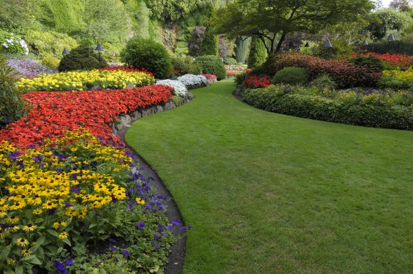 Landscaping Maintenance in Los Angeles