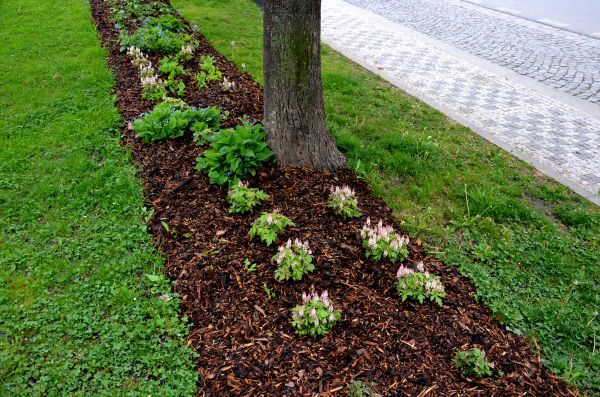 Mulch Replacement Service in Los Angeles