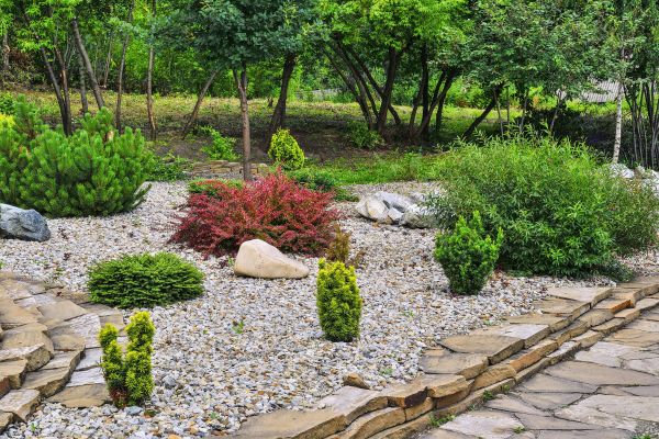 Rock Landscaping in Los Angeles