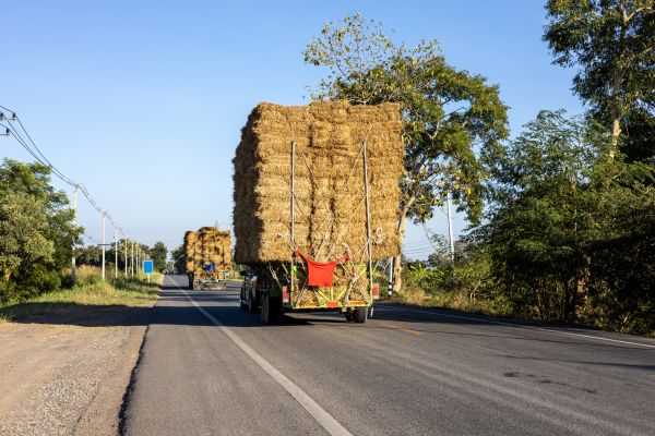Pine Straw Delivery in Los Angeles