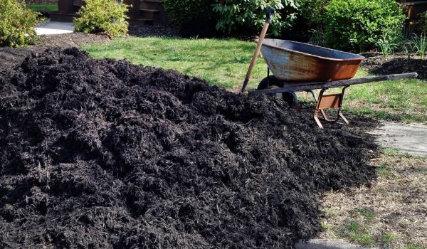 Black Mulch Delivery in Los Angeles