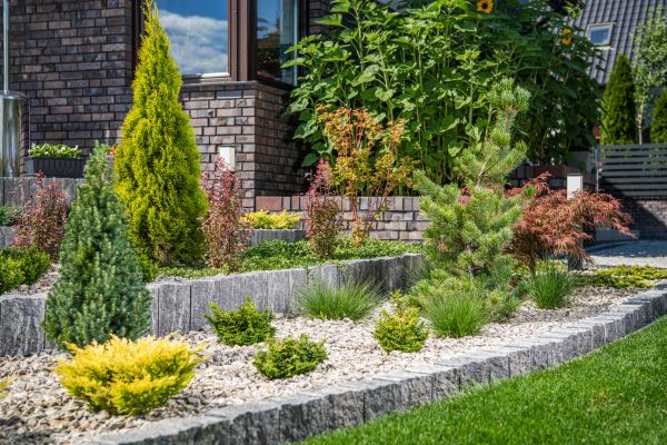 Landscape Construction Service in Los Angeles