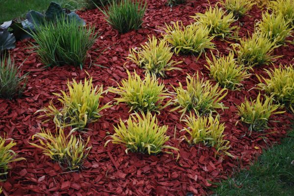 Mulch Landscaping in Los Angeles