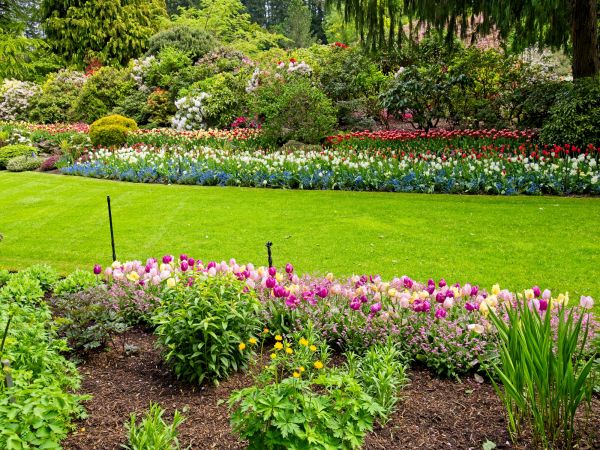 Residential Landscape Design in Los Angeles