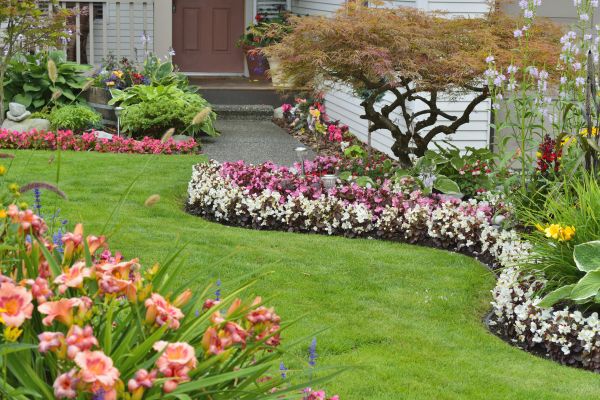 Perennial Landscaping in Los Angeles