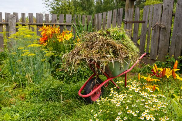 Garden Cleanup Service in Los Angeles