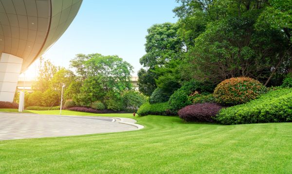 Business Landscape Design in Los Angeles