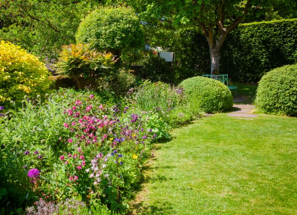 Yard Landscaping Service in Los Angeles