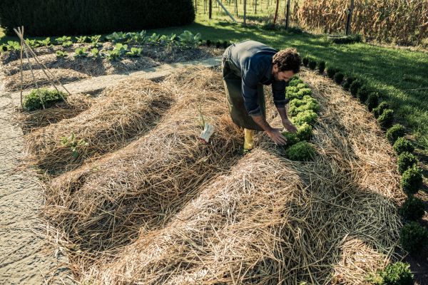 Straw Mulching Service in Los Angeles