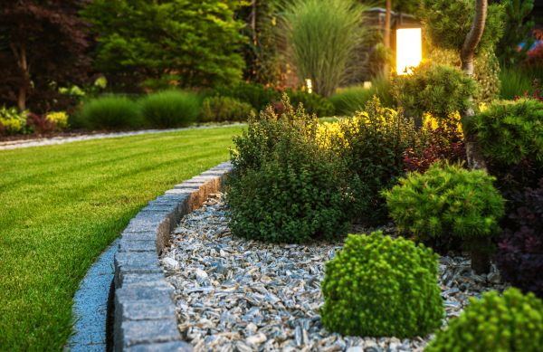 Landscaping Service in Los Angeles