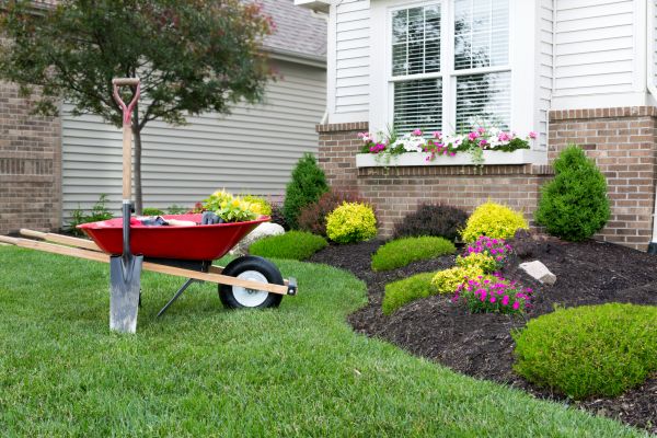 Tree And Shrub Planting in Los Angeles