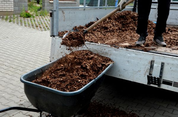 Landscape Mulch Delivery in Los Angeles