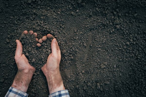 Soil Installation in Los Angeles