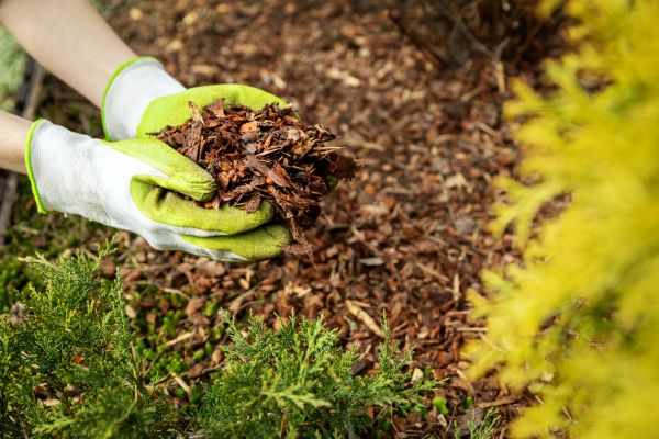 Garden Mulch Delivery in Los Angeles