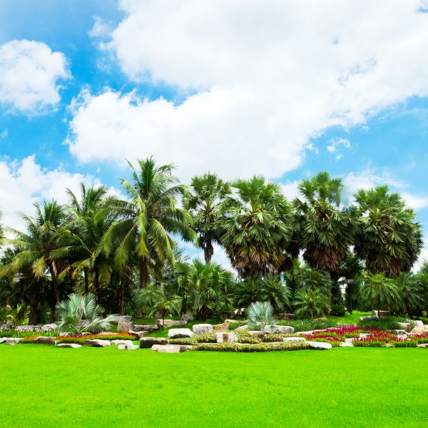 Tropical Landscaping in Los Angeles