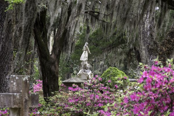 Cemetery Landscaping in Los Angeles