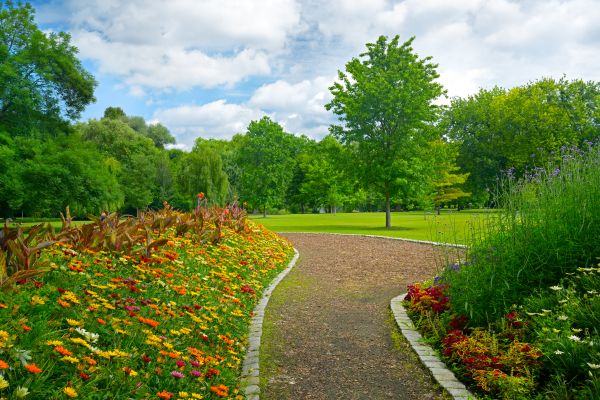 Park Landscaping in Los Angeles