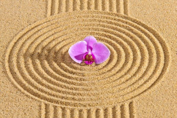 Sand Garden Landscaping in Los Angeles