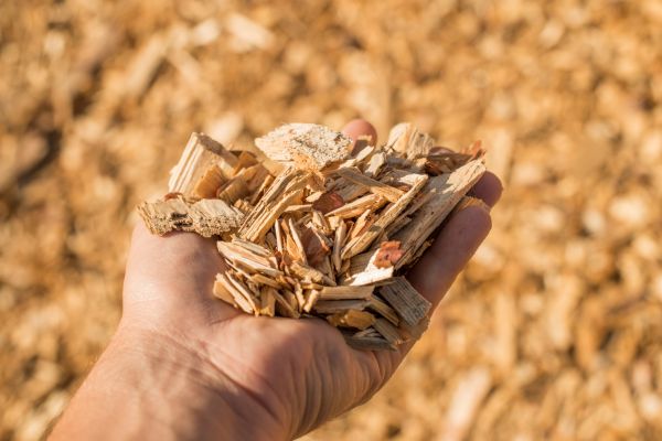 Wood Chips Spreading in Los Angeles