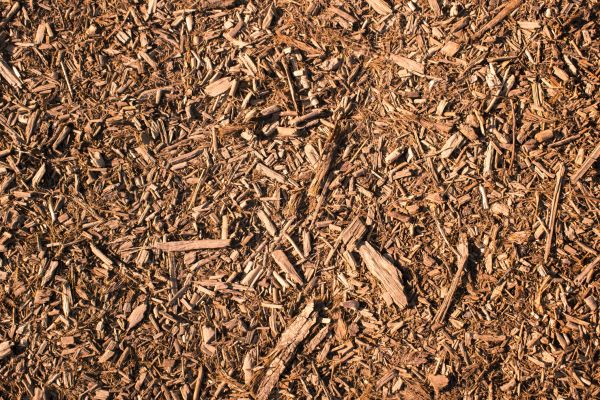 Wood Chips Removal in Los Angeles
