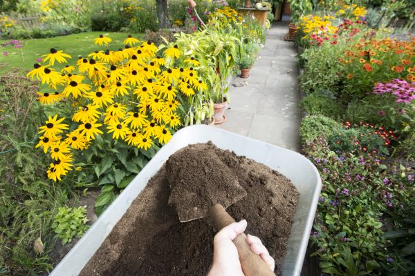 Topsoil Replacement in Los Angeles