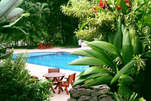 Pool Area Landscaping in Los Angeles