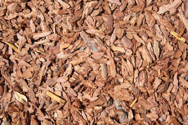 Pine Mulch Spreading in Los Angeles