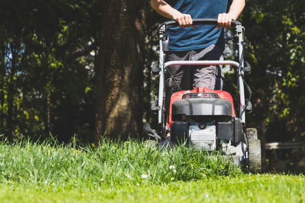 Garden Trimming Service in Los Angeles