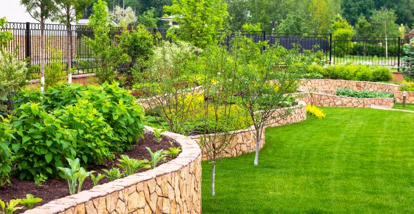 Yard Makeover Service in Los Angeles
