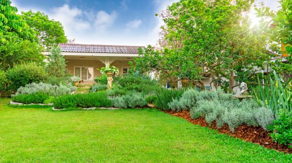 Greenery Planting in Los Angeles