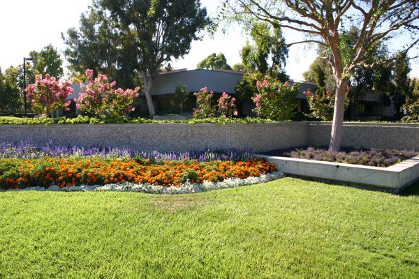 Commercial Landscape Service in Los Angeles