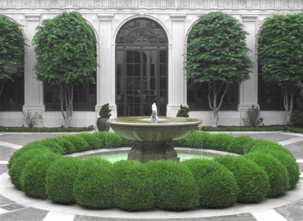 Courtyard Beautification