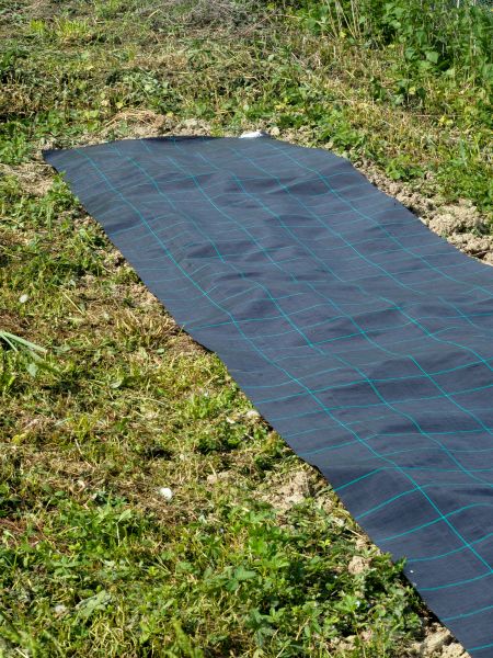 Weed Suppressant Installation in Los Angeles