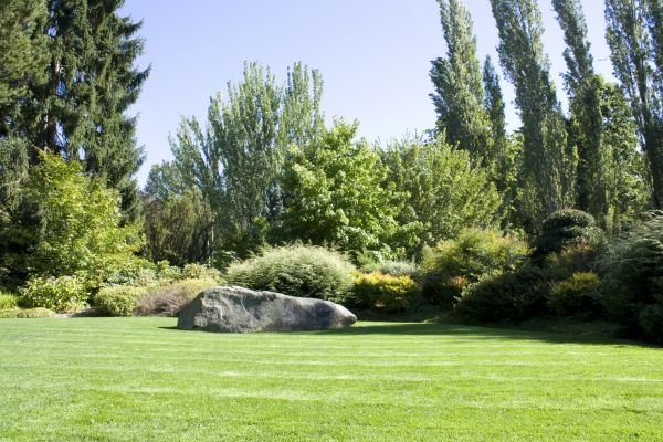 Yard Enlargement in Los Angeles