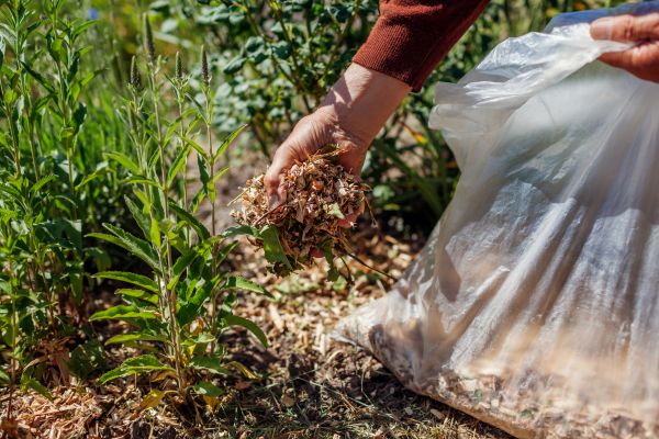 Wood Mulch Installation in Los Angeles
