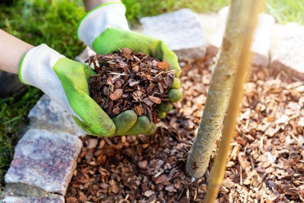 Tree Bark Delivery in Los Angeles