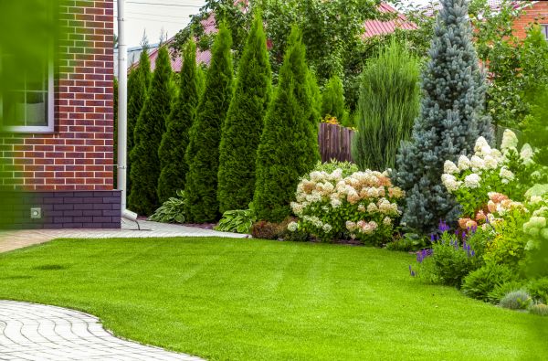 Spring Landscaping in Los Angeles
