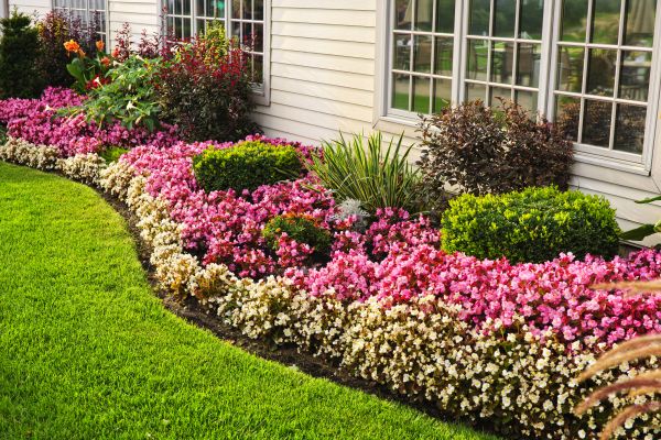 Garden Landscape Design in Los Angeles