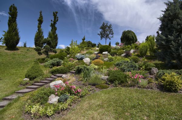 Steep Terrain Landscaping in Los Angeles