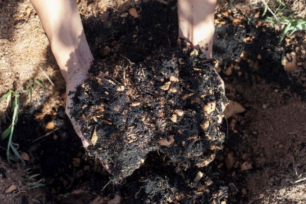 Organic Mulch Installation in Los Angeles