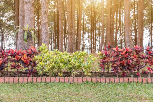 Small Garden Landscaping in Los Angeles