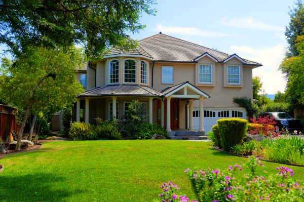 Large Yard Landscaping in Los Angeles