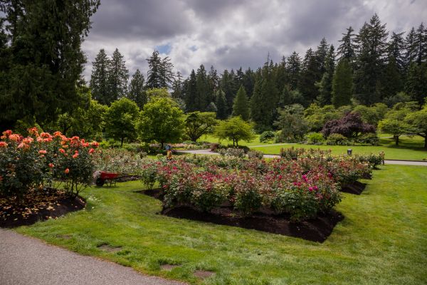Flower Garden Landscaping in Los Angeles