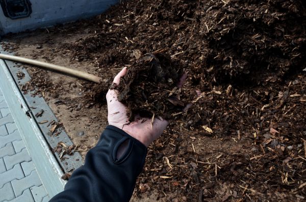 Condo Mulching in Los Angeles