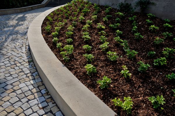 Commercial Mulching in Los Angeles
